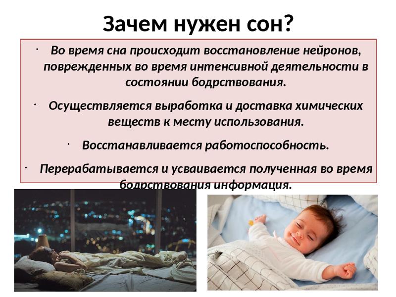 Почему наступает сон