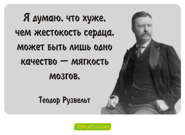 С тем что в. Теодор Рузвельт цитаты. Цитаты про жестокость. Афоризмы про жестокость. Жестокость афоризмы цитаты высказывания.