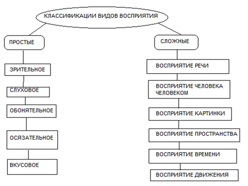 Выделяют восприятие. Схема восприятия в психологии. Виды восприятия в психологии схема. Классификация видов восприятия в психологии. Виды восприятия простые и сложные.