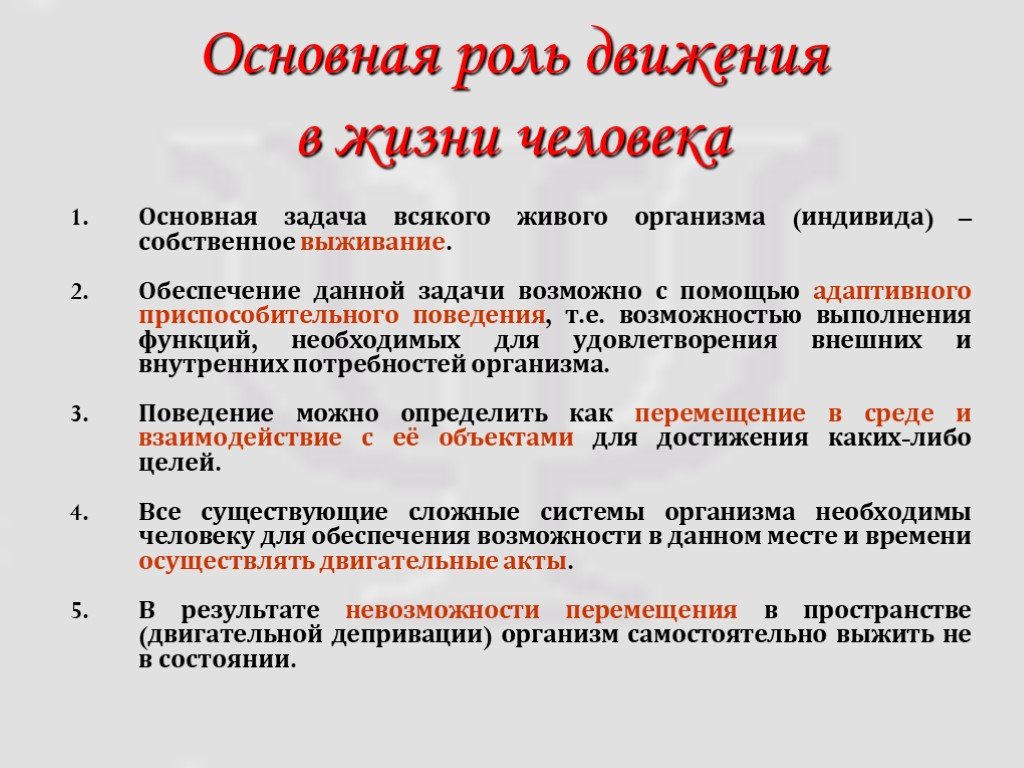 Важный основной. Роль движения в жизни. Роль безопасности в жизни человека. Основная роль. Роль движения в жизни человека.