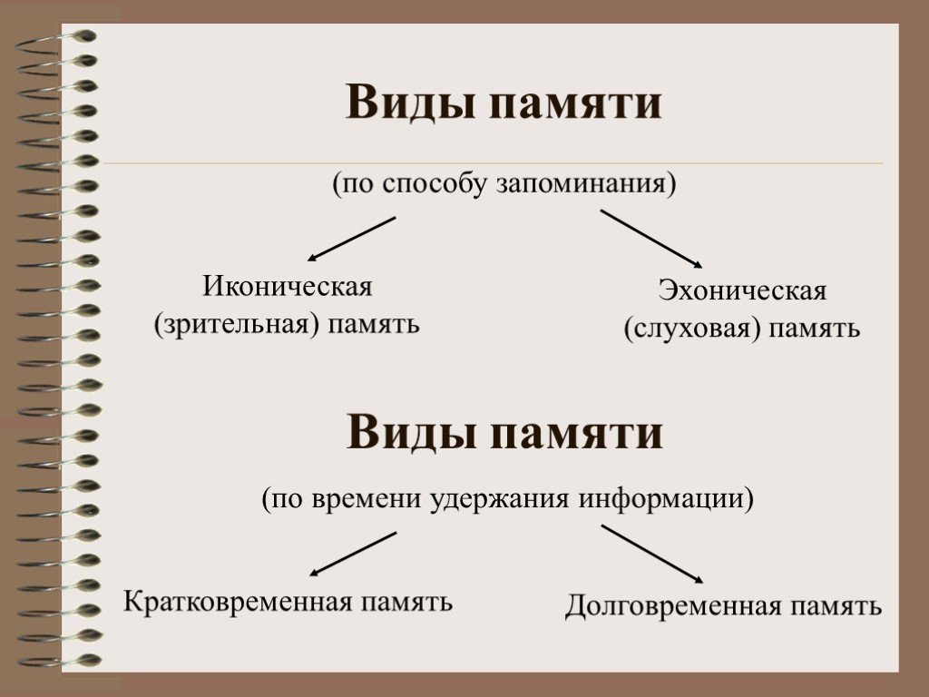 Виды запоминания памяти. Виды памяти по способу запоминания. Виды памяти потспособам запоминания. Память по способу заучивания. Виды памяти по времени запоминания.