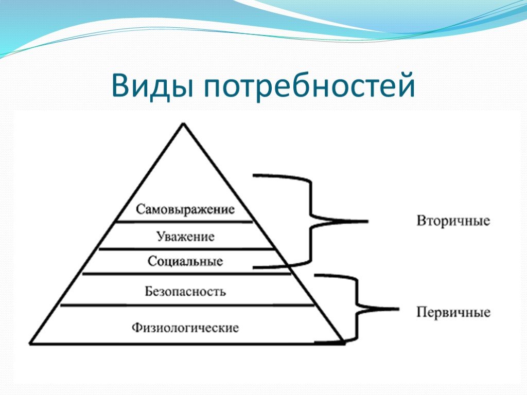 1 виды потребностей. Потребности виды потребностей. Виды потребностей первичные и вторичные. Виды вторичных потребностей человека. Самовыражение вид потребности.