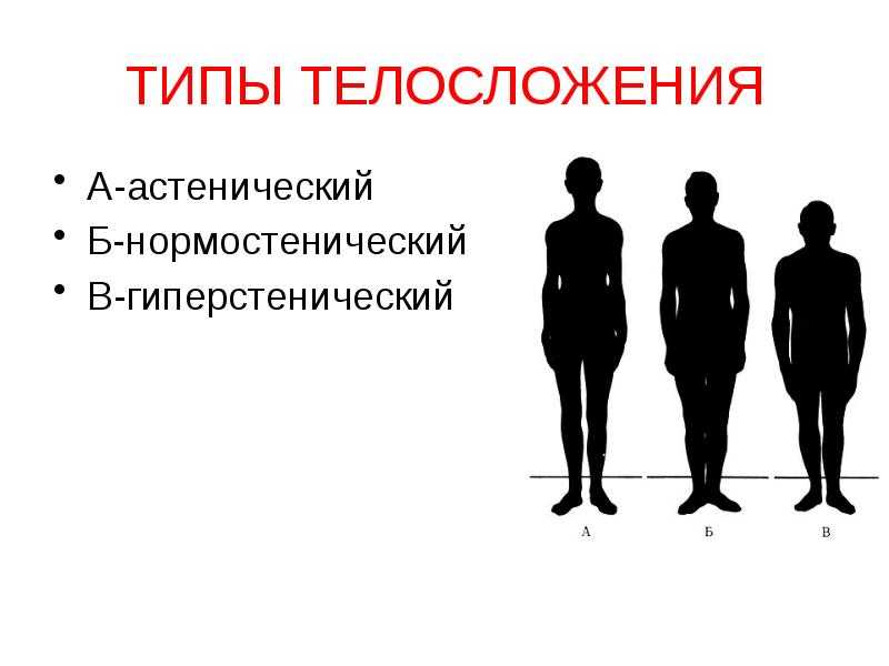 3 типа людей. Типы телосложения астенический нормостенический и гиперстенический. Нормостенический Тип, астенический Тип, гиперстенический Тип,. Астеник Тип телосложения. Конституция тела астеник.