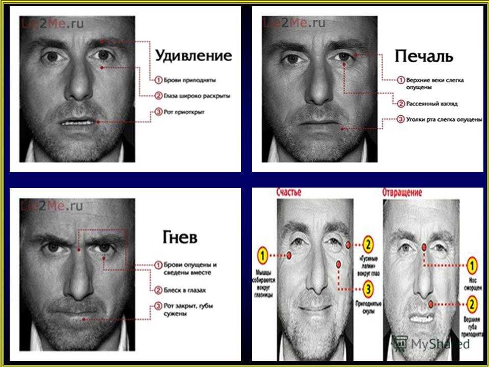 Мимика лица в картинках с описанием психология