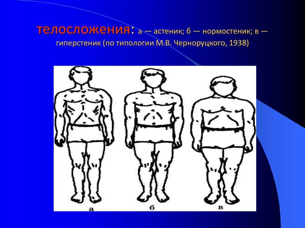 Телосложение тип конституции. Типы телосложения астеник.нормостеник.гиперстеник. Гиперстеник Тип телосложения. Нормостеник Тип телосложения. Конституция человека астеник нормостеник гиперстеник.