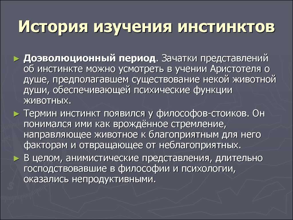 Есть ли у человека инстинкты. История изучения инстинктов. Термин инстинкт. Примеры инстинктов. Определение понятия инстинкты.