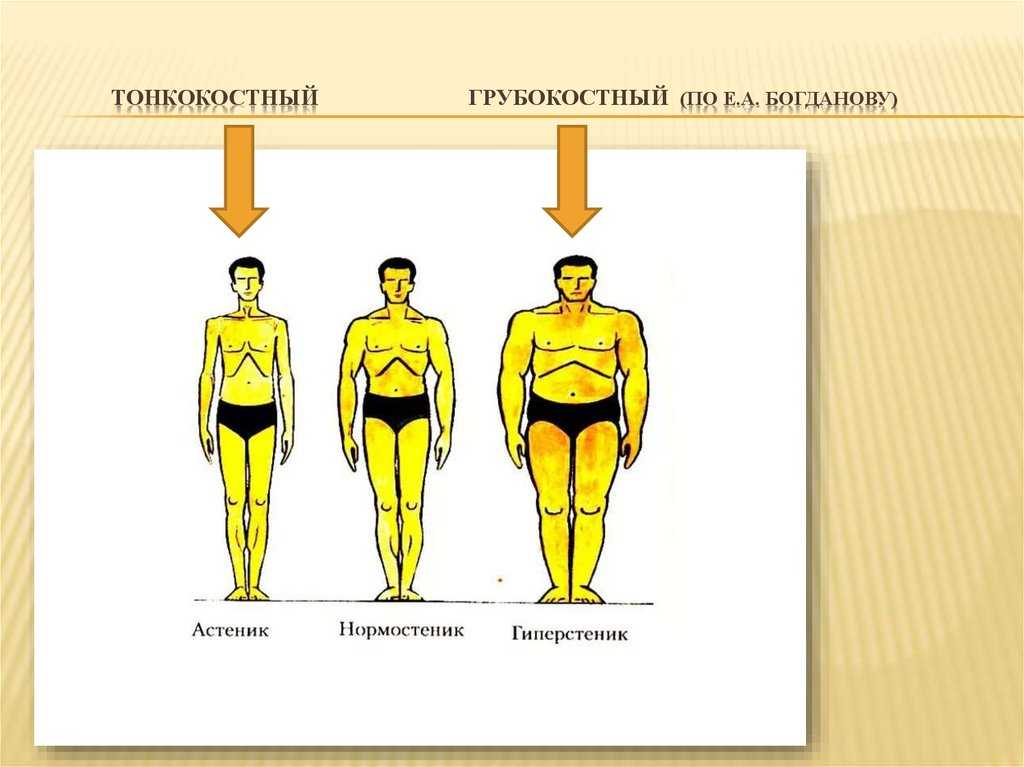 Какое тело является. Типы фигур астеник нормостеник гиперстеник. Гиперстеник Тип телосложения. Астеник Тип телосложения у мужчин. Астеник гиперстеник.
