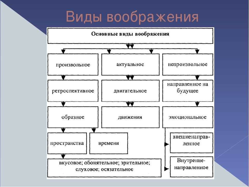 Виды воображения. Основные виды воображения. Виды воображения схема. Виды воображения в психологии. Виды воображения таблица.