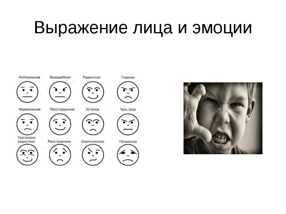 Состояние настроения чувства человека. Различные выражения лица. Эмоции. Изображение эмоций человека. Выражения лица эмоции.