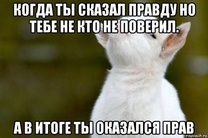 Ты не поверишь вчерашний. Я говорю правду. Когда ты оказался прав. Когда сказал правду. Когда все говорили а ты оказался прав.