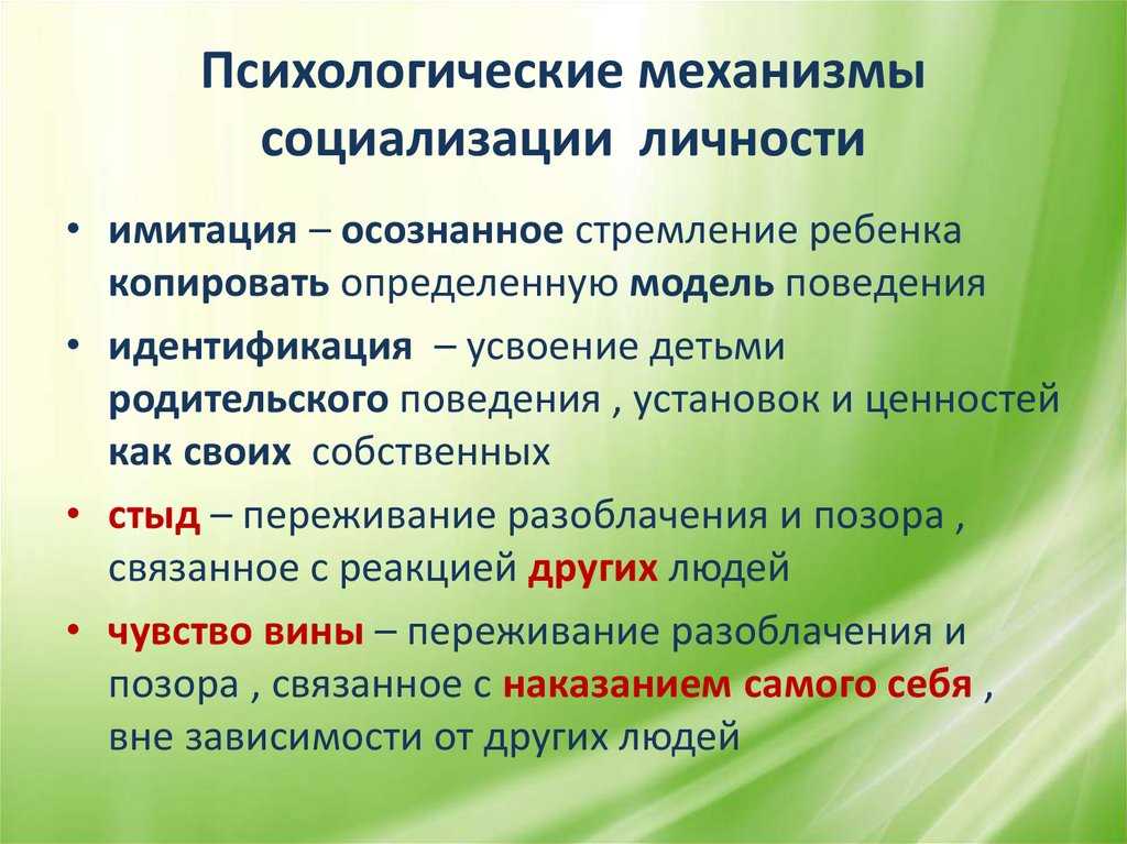 Признаки понятия социализация