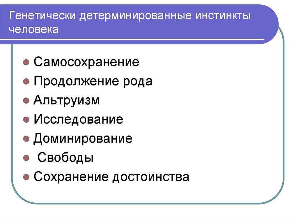 Есть ли инстинкты. Инстинкты человека. Инстинкты человека список. Базовые инстинкты человека. Инстинкты человека примеры.