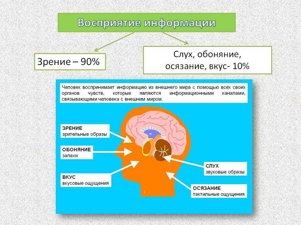 Понимание информации человеком. Восприятие информации. Восприятие информации человеком. Процесс восприятия информации. Человек воспринимает информацию.