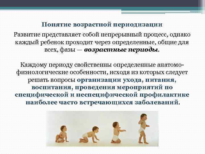 Понимание возраста. Понятие возрастная периодизация. Понятие возрастной периодизации детей. Возрастные этапы развития человека. Понятие возраста. Возрастная периодизация..