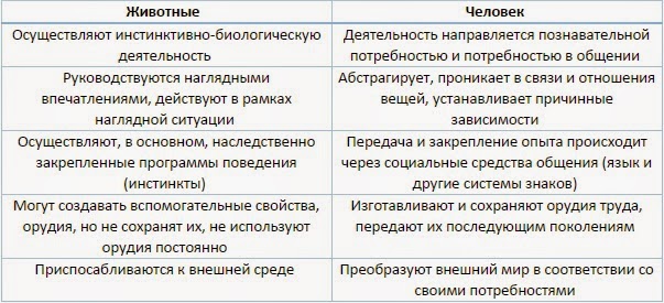 Чем психика человека отличается от психики животного