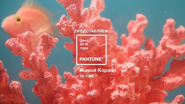 Живой коралл цвета оттенка оттенка Pantone 16-1546