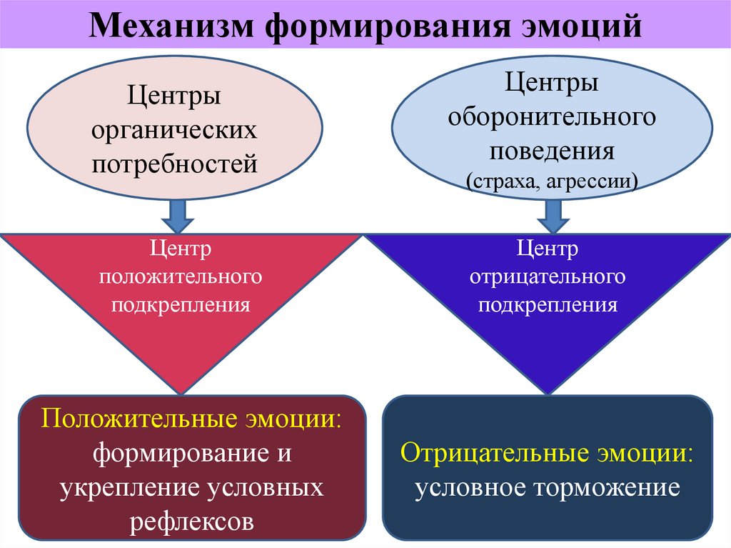 Чувства и личность в психологии. Физиологические механизмы возникновения эмоций. Механизм формирования эмоций. Механизмы формирования отрицательных эмоций.. Механизм формирования мифа.