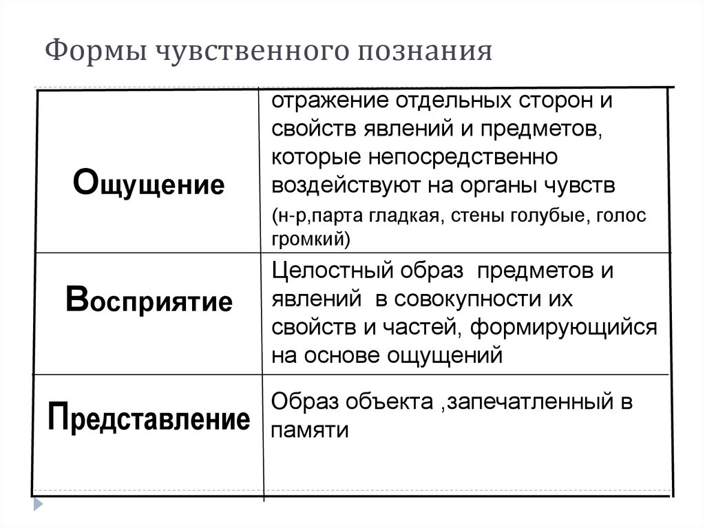 Формы чувственного и рационального познания