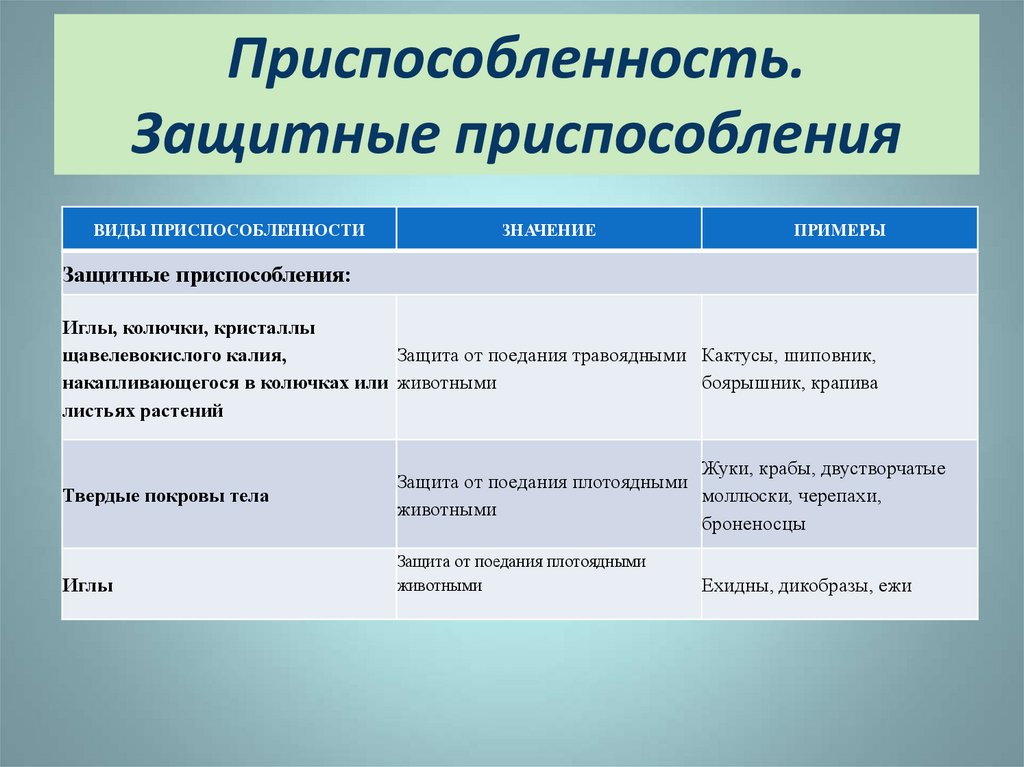 Приспособление результат. Типы защитных приспособлений у животных. Типы приспособленности. Тип приспособления. Виды приспособлений.