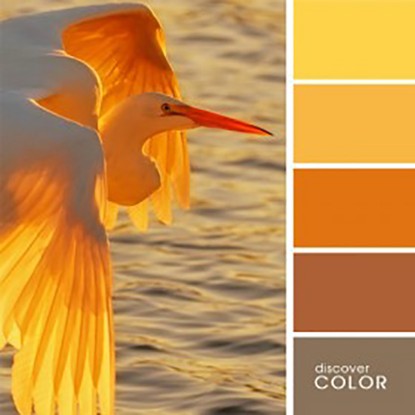 Лёгкий и тёплый жёлтый цвет: 35 ярких палитр, фото № 13 Лёгкий и тёплый жёлтый цвет: 35 ярких палитр, фото № 13