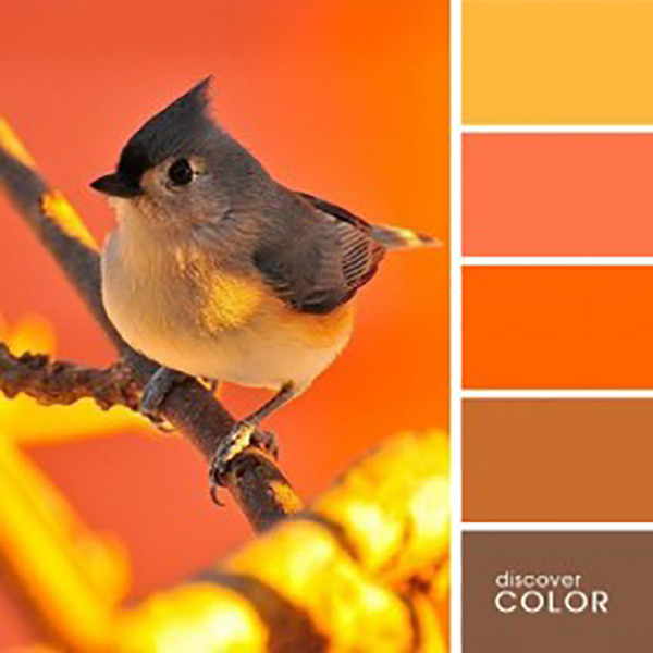 Лёгкий и тёплый жёлтый цвет: 35 ярких палитр, фото № 12 Лёгкий и тёплый жёлтый цвет: 35 ярких палитр, фото № 12