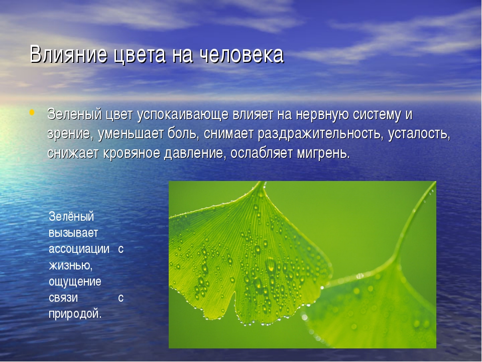 Значение зеленого цвета. Влияние зеленого цвета на человека. Как цвета влияют на человека. Как зеленый цвет влияет на человека. Зеленый цвет в психологии.