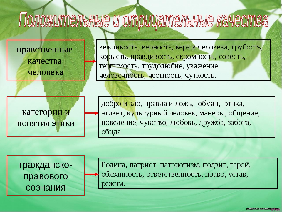 Основные нравственные качества личности