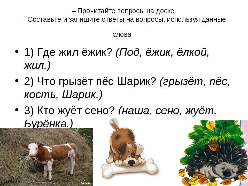 Прочитай вопросы и кратко ответь. Составьте и запишите ответы на вопросы используя данные слова. Прочитай и ответь на вопросы. Составление ответов на вопросы 1 класс. Запишите ответы на вопросы.