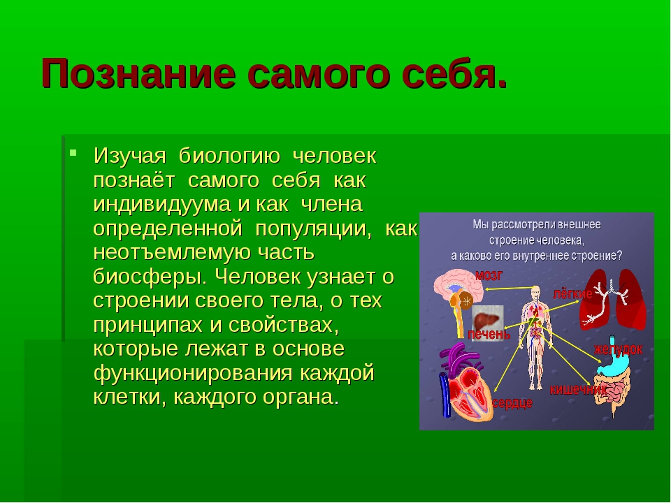 Самое самое биология. Рисунки на тему познание себя. Познание человеком самого себя. Презентация на тему познаю себя. Я познаю себя презентация.