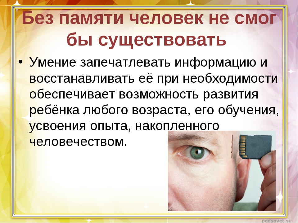 Как заставить память работать. Память человека. Зрительная память человека. Виды памяти Зрительная. Интересные факты о памяти человека.