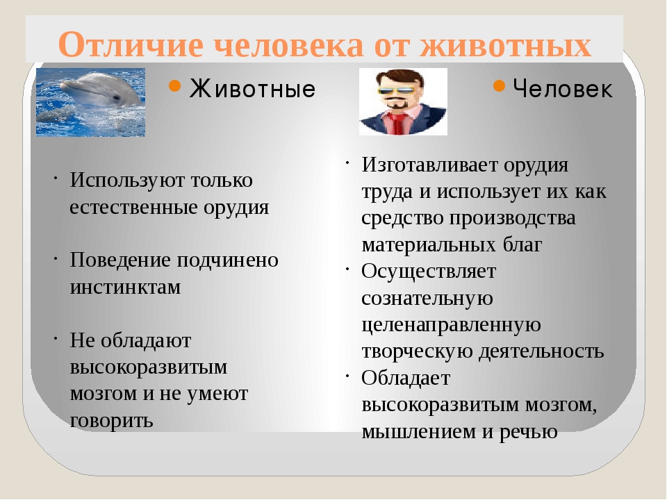 Особенностью человека отличающей. Различие человека от животного. Признаки отличающие человека от животного. Социальные отличия человека от животного. Рассказ чем человек отличается от животного.