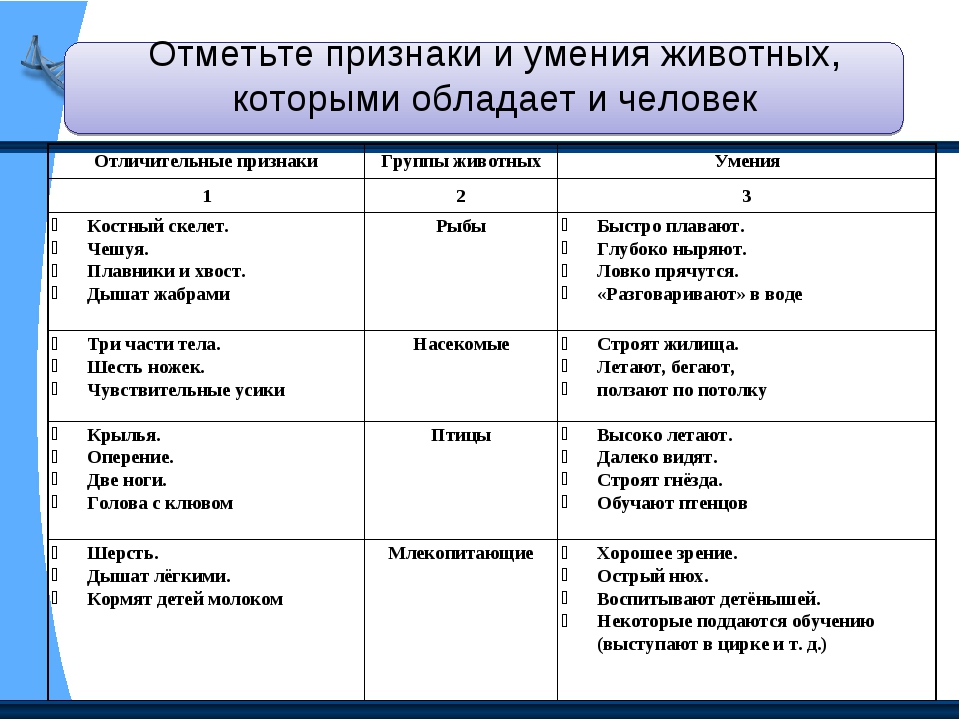 4 признака человека. Характерные признаки человека. Признаки животных у человека таблица. Отличительные признаки животных и человека. Критерии сравнения животных и человека.