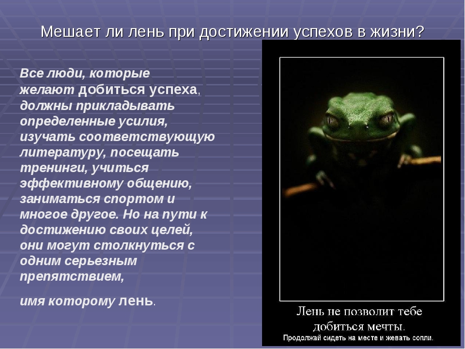 Мешает ли. К чему приводит лень. К чему приводит лень человека. К чему приводит безделье. К чему приводит лень сочинение.