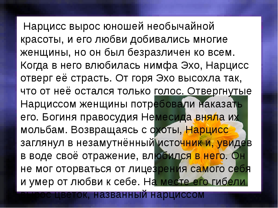 Я нарцисс. Нарциссизм презентация. Почему людей называют нарциссами. Почему Нарцисс так назвали. Почему мужиков называют Нарцисс.