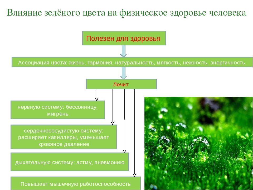 Зеленый цвет как влияет. Влияние зеленого цвета. Влияние зеленого цвета на человека. Как зеленый цвет влияет на человека. Воздействие салатового цвета.