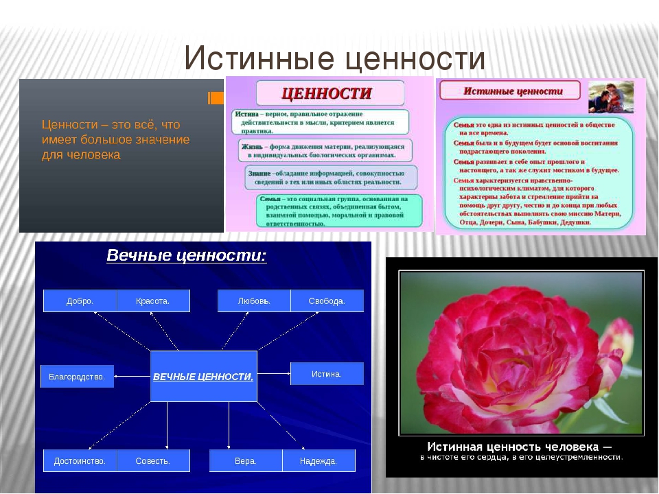 Истина качество человека. Истинные человеческие ценности. Истинная ценность жизни человека. Ценность человеческой жизни. Истинные ценности человека примеры.