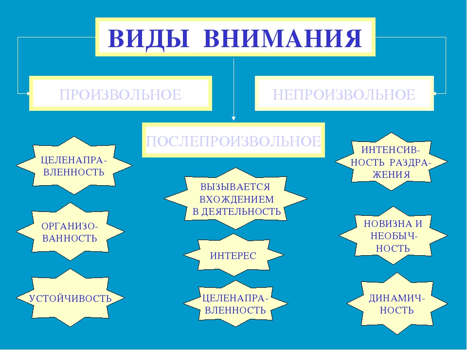 Средства внимания. Виды произвольного внимания. Виды внимания произвольное непроизвольное. Виды внимания: произвольное, ... И послепроизвольное. Произвольное внимание примеры.