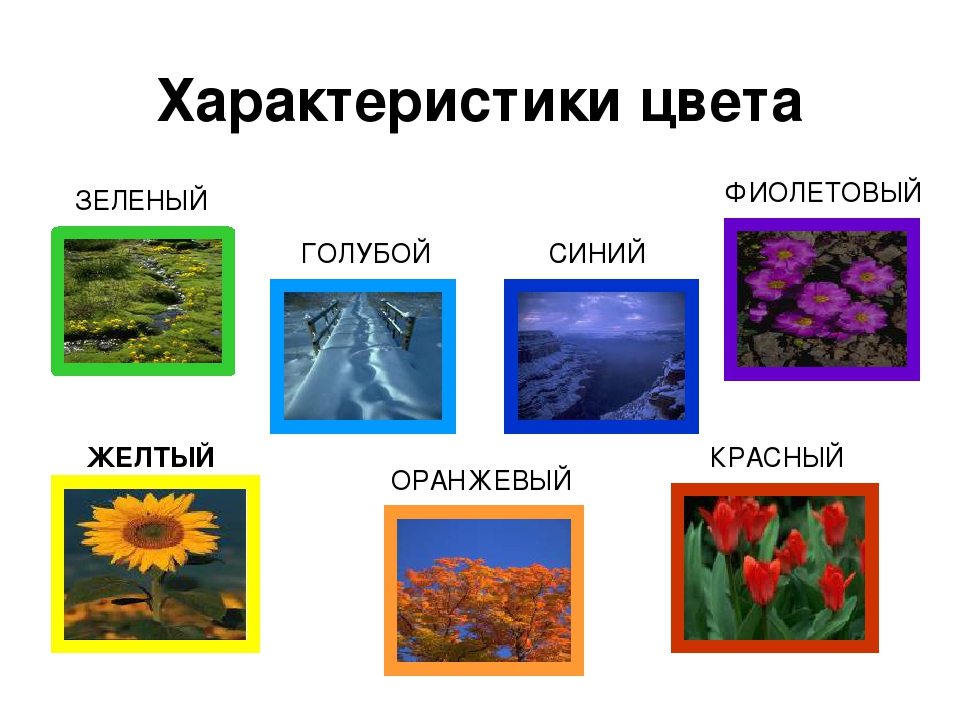 Признаки цвета