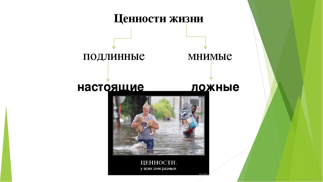 Ценности хорошего человека. Настоящие и мнимые ценности. Ценности жизни.