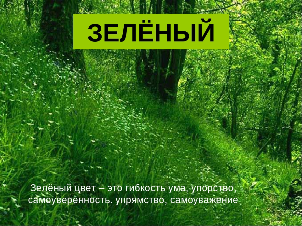 Зеленый цвет в психологии. Что означает зеленый цвет. Зелёный цвет значение цвета. Салатовый цвет в психологии.