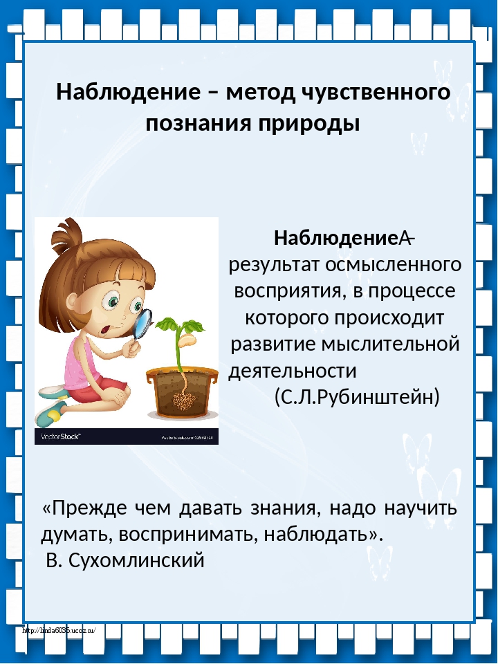 Наблюдения подсказаны. Метод наблюдения. Пример метода наблюдения. Метод наблюдения это метод. Метод наблюдения в начальной школе.