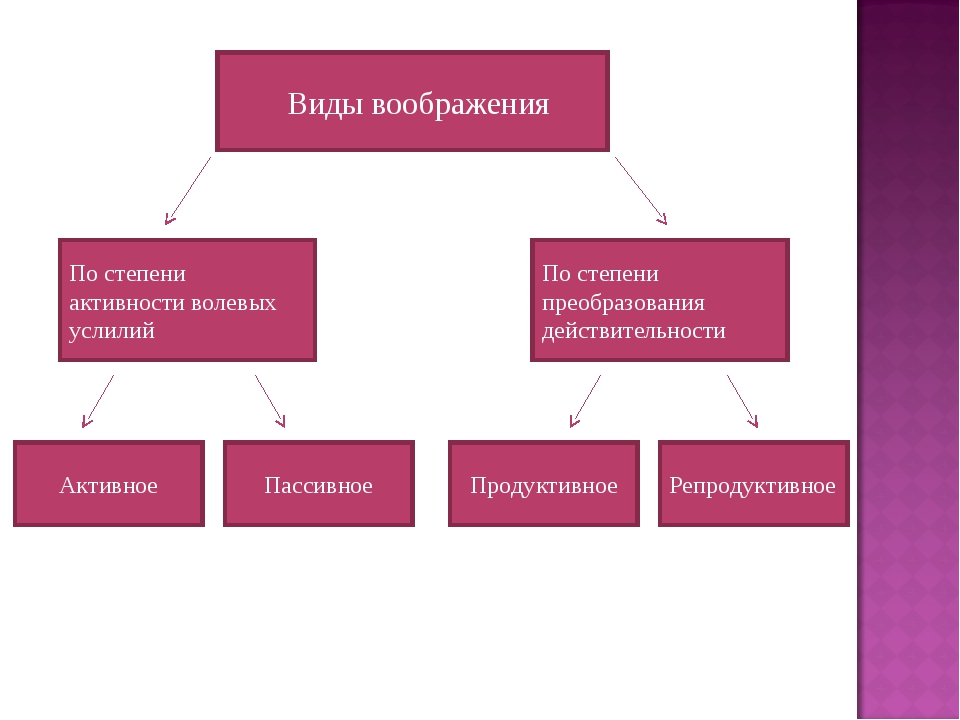 Виды воображения картинки