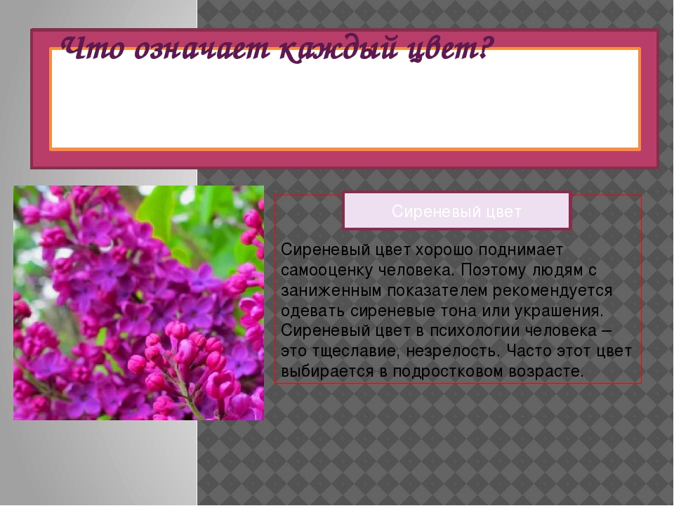 Значение цветов фиолетовый. Фиолетовый цвет в психологии. Что означает сиреневый цвет. Лиловый цвет в психологии. Сиреневый цвет в психологии.