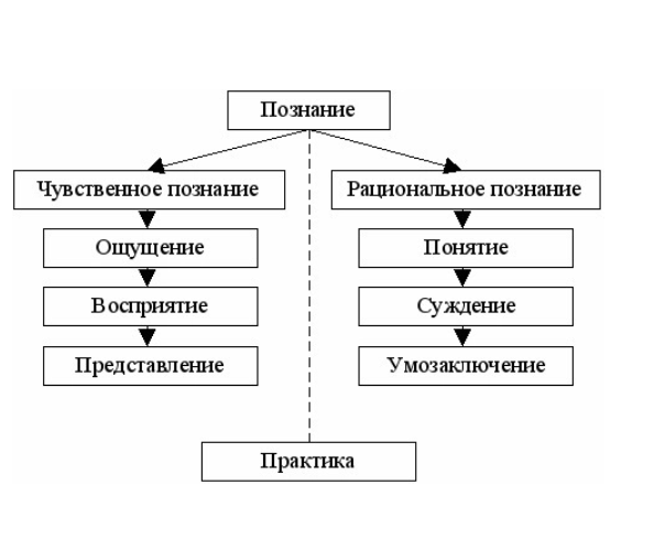 Схема формы познания. Схему структуры процесса познания. Этапы познания схема. Основные этапы процесса познания. Схема формы чувственного познания.