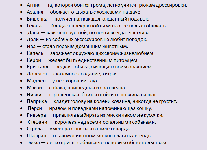 Прозвища для девушек. Имена для собак девочек. Имена для собак девочек редкие и красивые. Имена собакам девочкам необычные красивые. Имена для собак девочек больших пород.