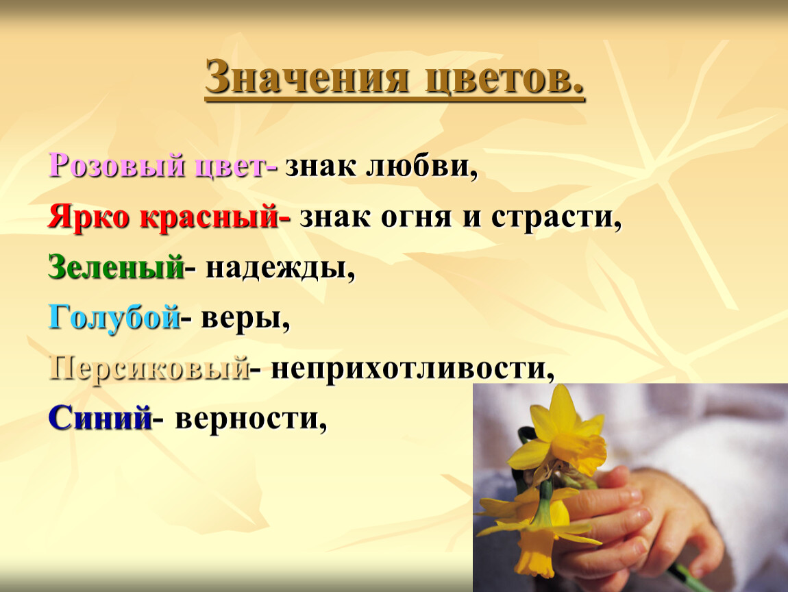 Желтые цветы значение язык цветов