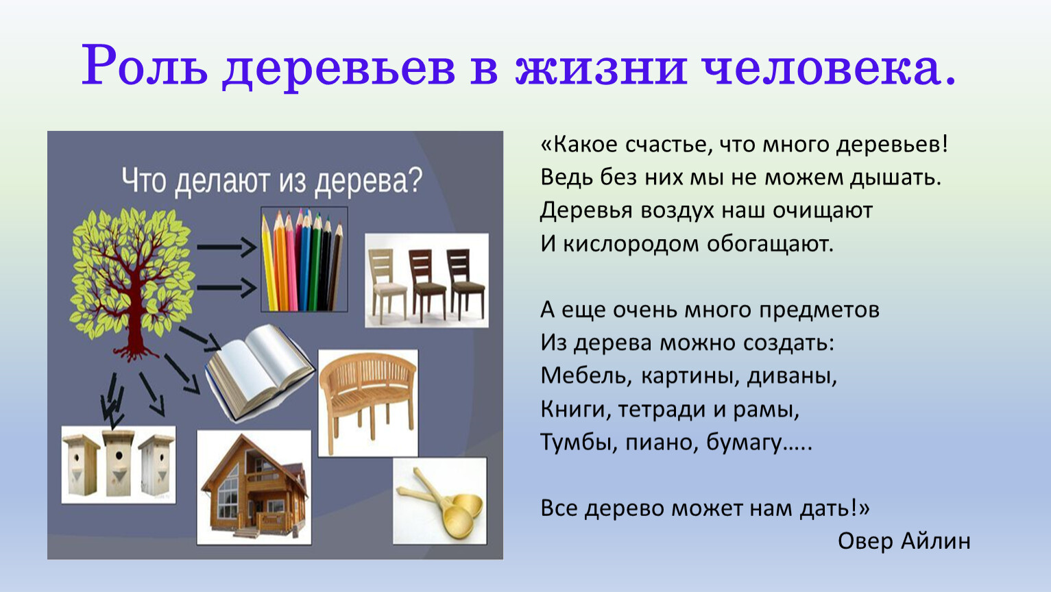 Формы в природе и жизнь человека. Роль деревьев. Роль деревьев в жизни человека. Важность деревьев в жизни человека. Деревья в жизни человека проект.