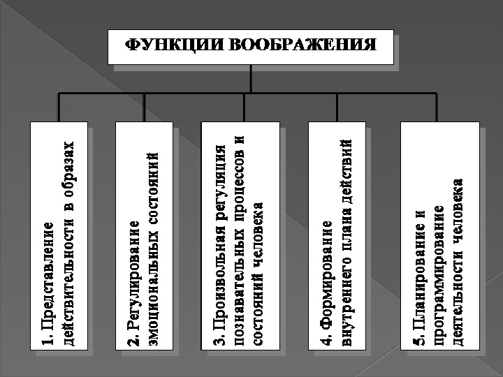 Функции воображения. Функции воображения схема. Специфические функции воображения. 3 Функции воображения. Функции воображения в психологии картинки.