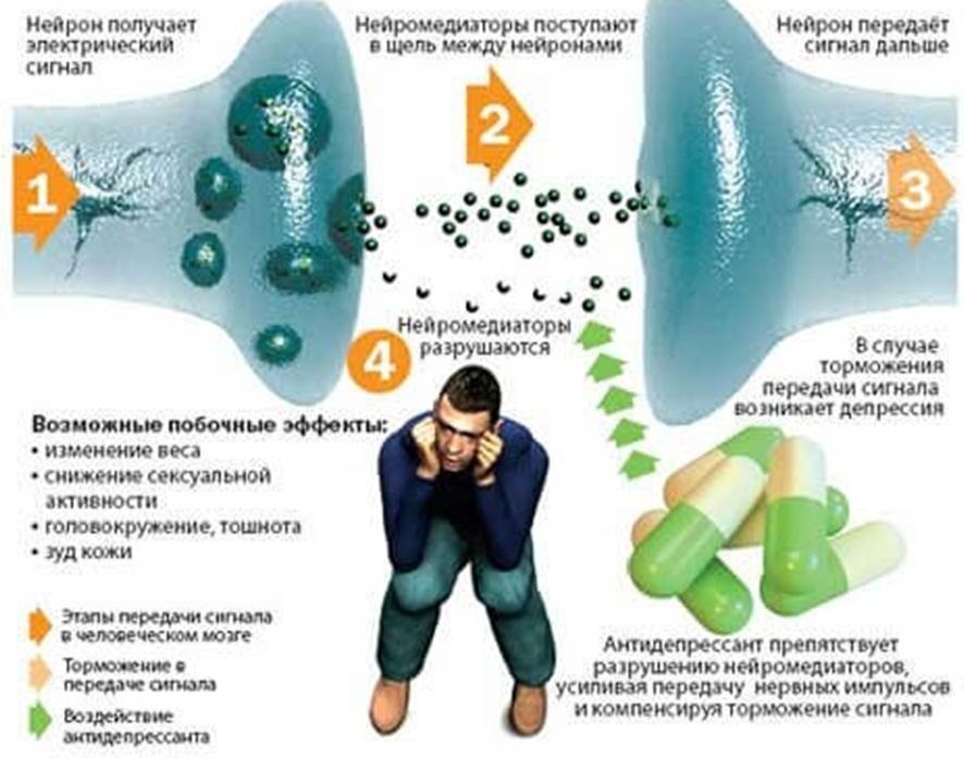 Схема воздействия алкоголя и антидепрессантов на человека