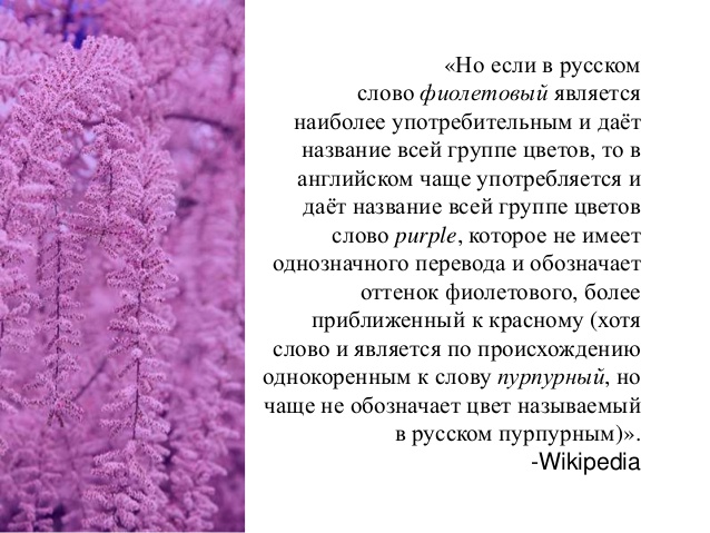 Из какого языка пришло слово. Происхождение слова фиолетовый. Из какого языка пришло слово фиолетовый. Фиолетовый когда это слово появилось в русском. История происхождения слова фиолетовый.